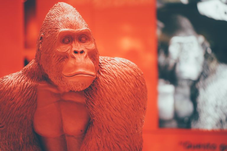 Корпоративная культура Mailchimp: как нанимать и влюблять в себя креативных людей
