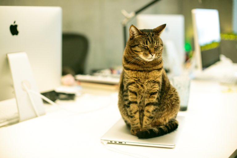 6 навыков, которые нужны рекрутеру сейчас + бесплатные курсы для их развития от LinkedIn