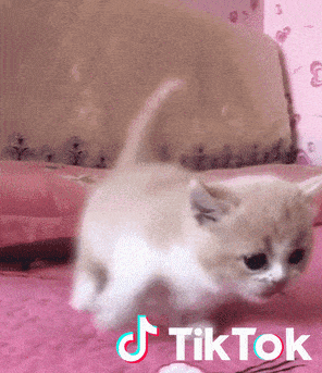 От руководителя стажёрской программы до HR BP в TikTok: 16 горячих вакансий для рекрутеров и эйчаров